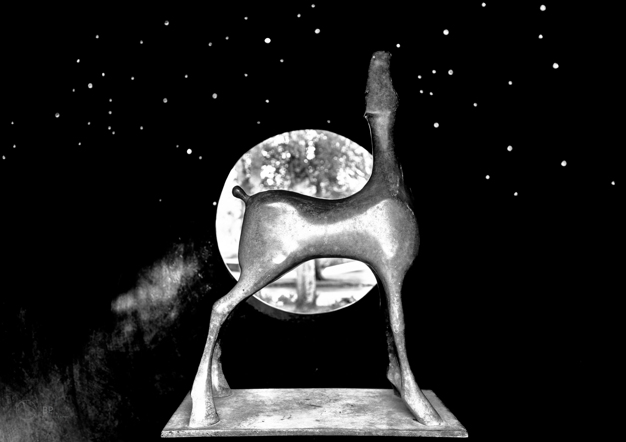 Sea the Stars, Anthony Scott